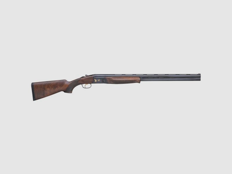 Fair SLX Deluxe Zwart 12/76 BDF
