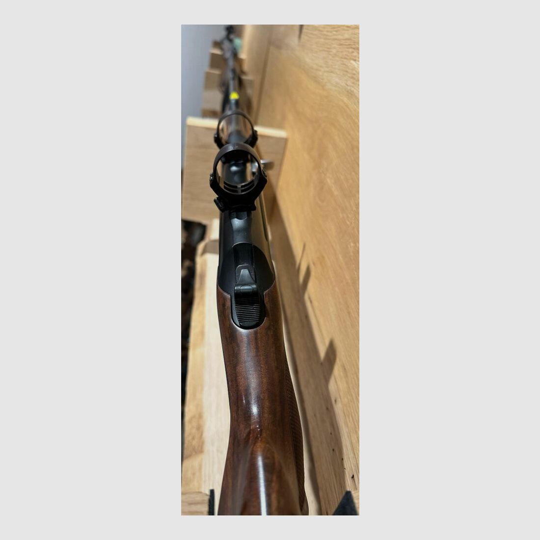 Sauer & Sohn 303