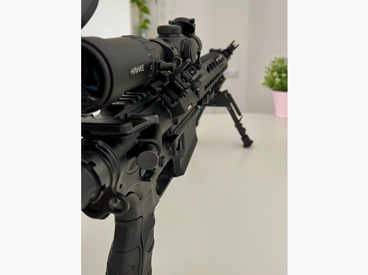 Haenel CR308 16,5 pouces 41cm carabine semi-automatique AR10