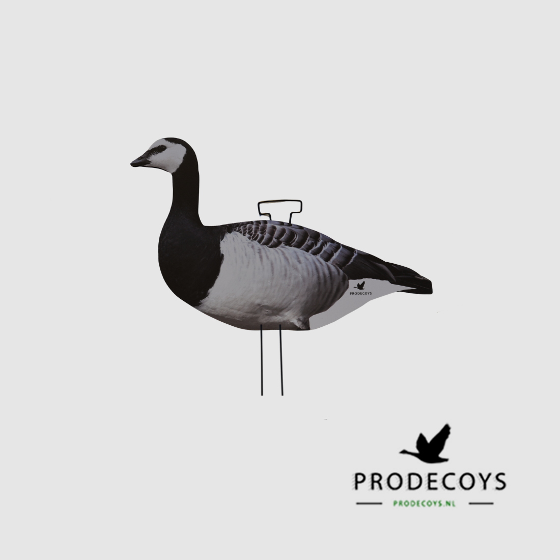 Prodecoys richiami sagomati per oche facciabianca – 12 pz., immagine 3 di 4