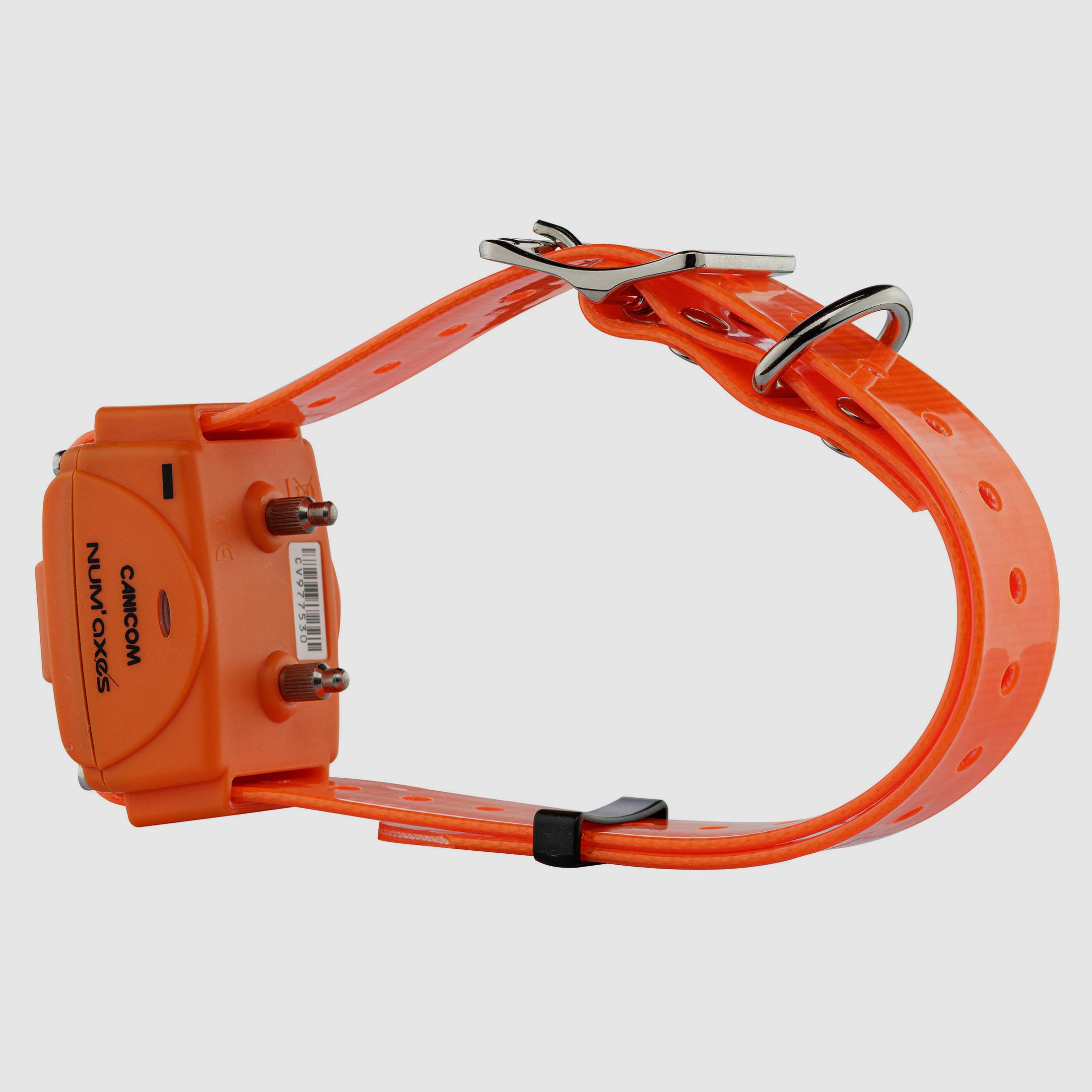 Num&rsquo;Axes – Pack Canicom 1000 orange pour deux chiens, image 5 sur 8