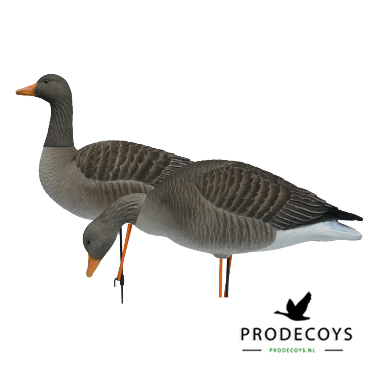 Prodecoys Elite oie cendrée floquée 6 pièces, image 1 sur 2