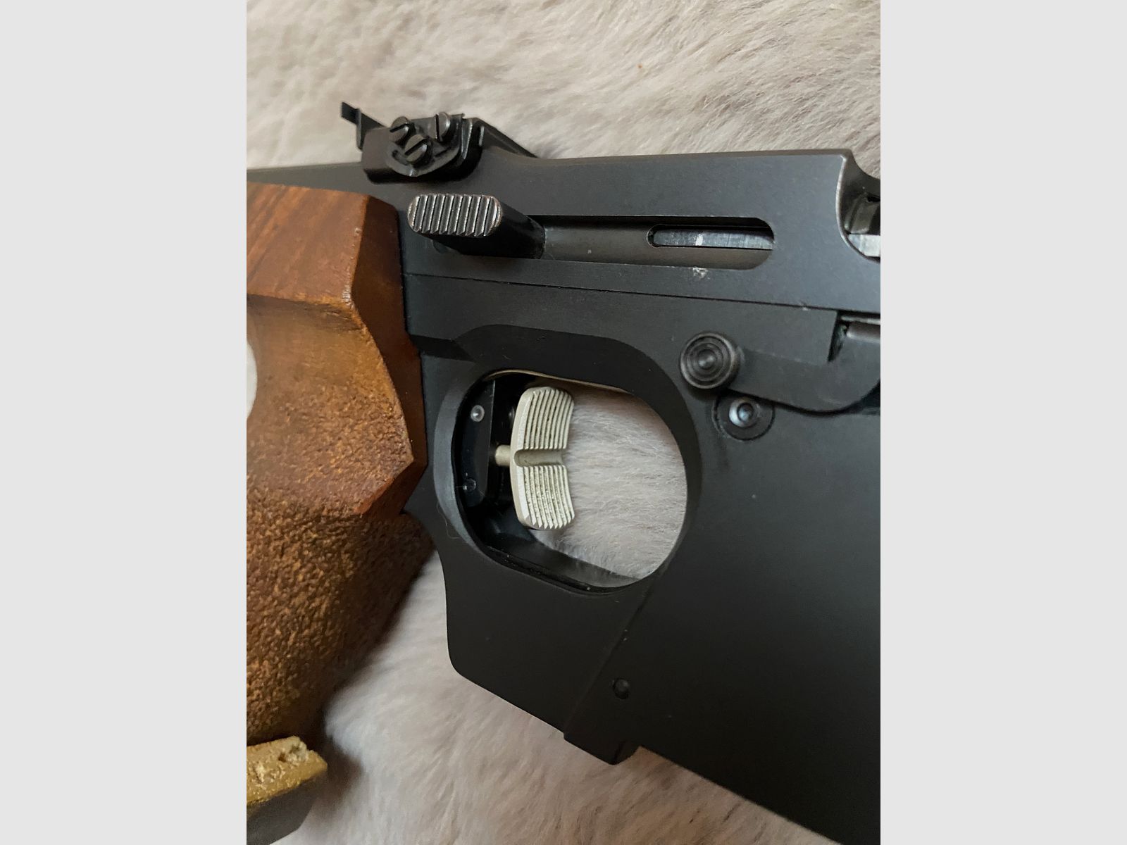Walther GSP