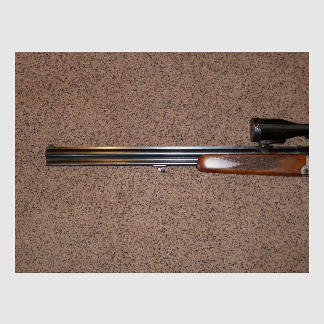 Blaser ES70
