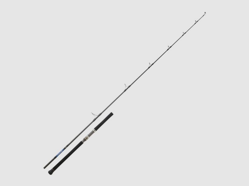 DAIWA SALTIGA LANCER 2,44M, afbeelding 1 van 3