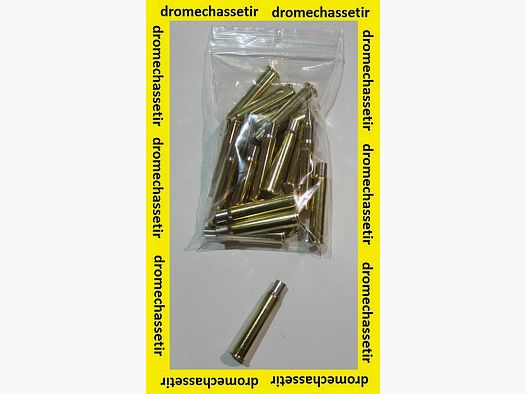 Zestaw 20 łusek .303 British, marka Partizan
