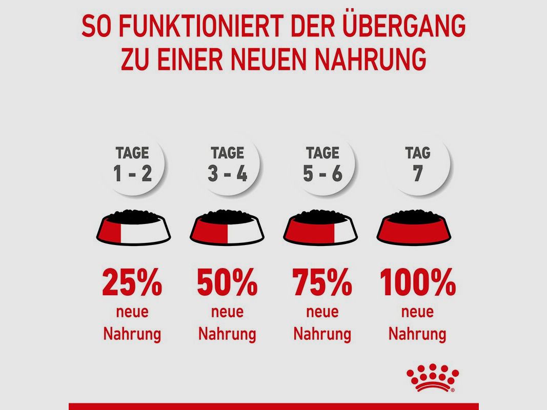 ROYAL CANIN Mittelgroße Hunde Nassfutter Welpen bis zum 12. Monat 10x140 g
