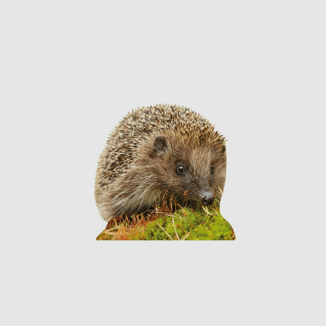 Tieraufsteller Igel