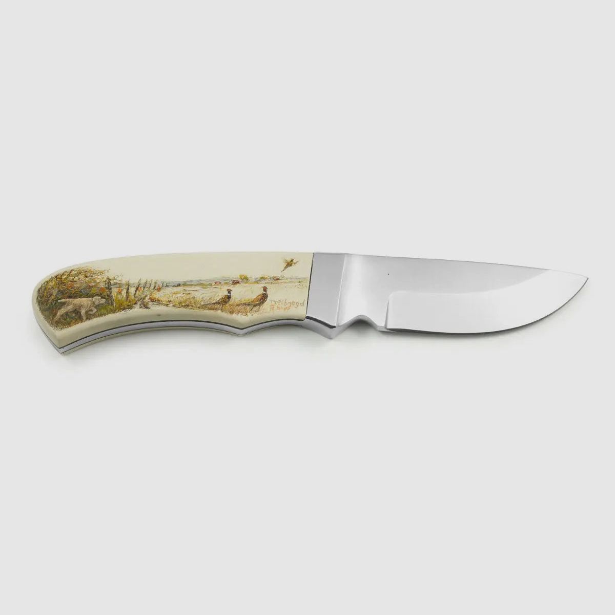 PUMA art collection, drive hunting / Weimaraner, skinmaster, unique